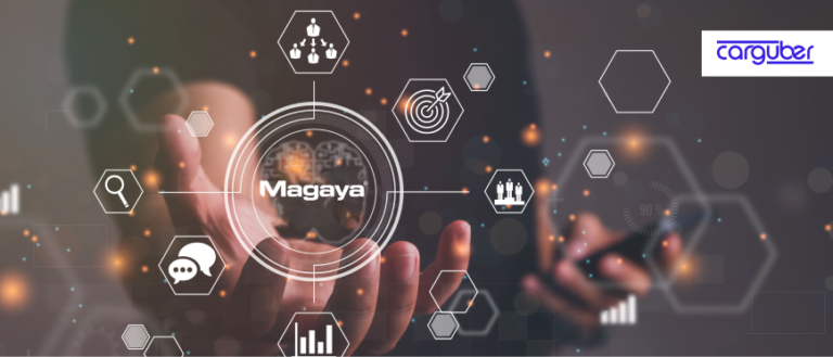 What Makes Magaya ERP a Smart Choice for Logistics Businesses